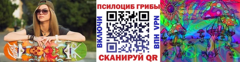 Псилоцибиновые грибы Psilocybine cubensis  где продают   Ковров 